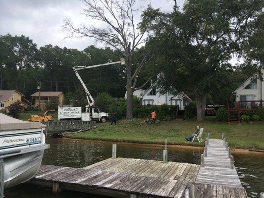 Poole's Tree Experts