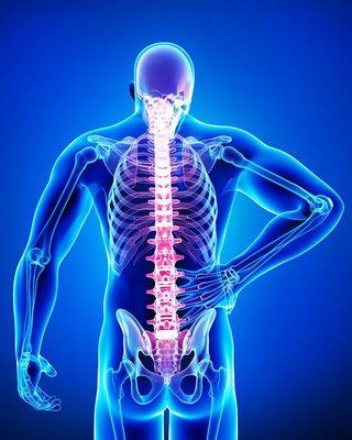 Coast Pulmonary & Internal Medicine Associates