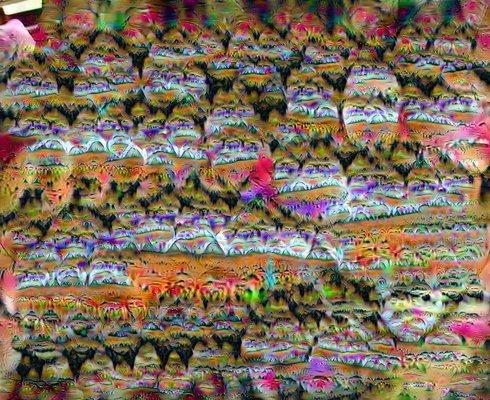 deep dream