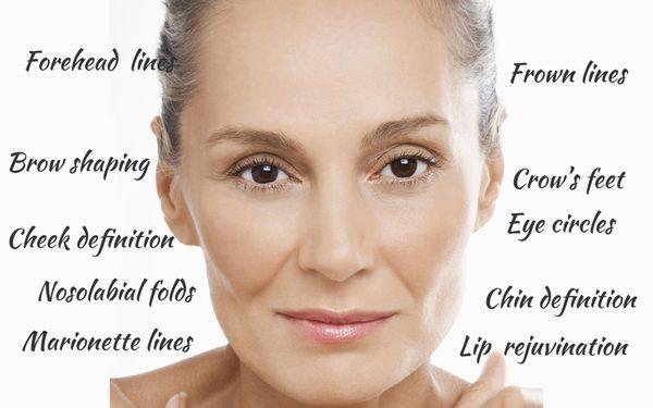 Project Anti-Aging