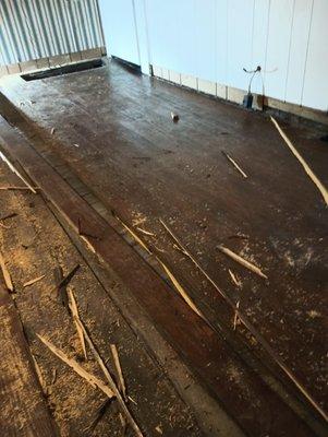 Triple D's Home Services