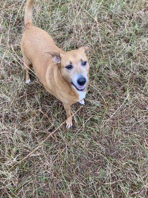 Rehm Animal Clinic - Hillcrest