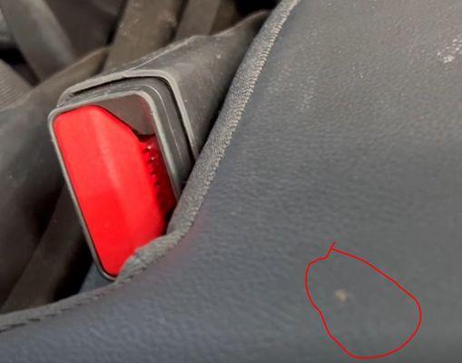 This ant came to the surface of the second row. There were more than this one.