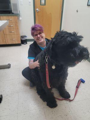 Woodley Gardens Veterinary Care