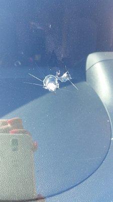 mobile auto windshield repair Nissan altima