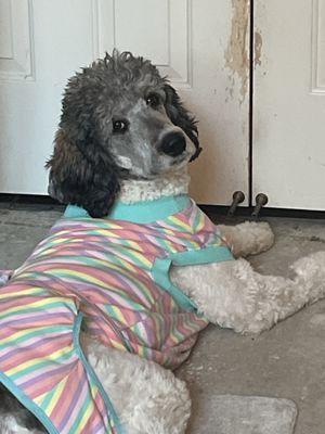 Valley Oak Veterinary Hospital