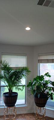 Star Bright Electric