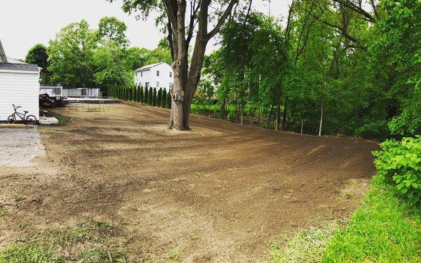 New Lawn Installation
