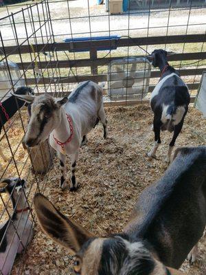 Monroe County Fairgrounds