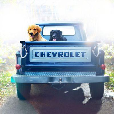 Willow Street Pictures