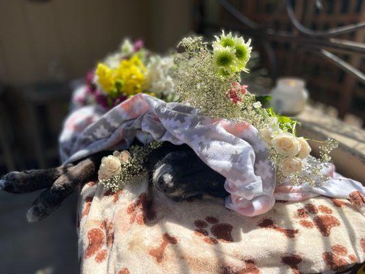 The love of my life. These pics are not to seem morbid, it's to show the service they provided. The flowers brought by my guests.