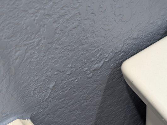 Texas Painting & Roofing