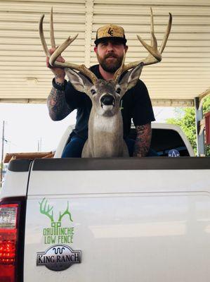 Sheppard's Taxidermy