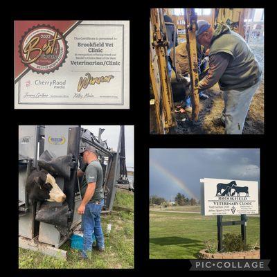 Brookfield Veterinary Clinic