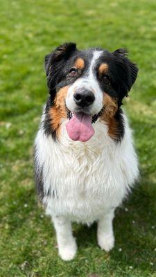 Loveland Veterinary Clinic