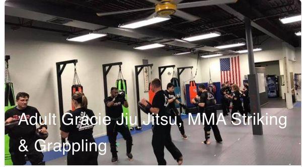 Adult Gracie Jiu-Jitsu, MMA, grappling
