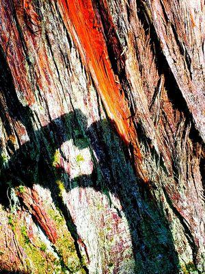 With Hyatt Hands your always in good Hands