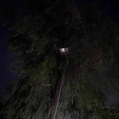 Terraces of Roseville