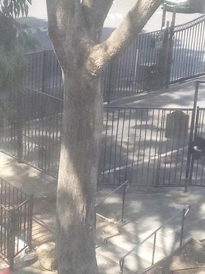 Waterstone Owners Assoc