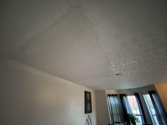 Splash Brothers Painting