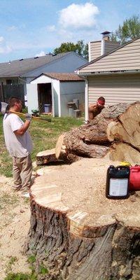 Higher Reaches Tree Care