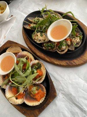 scallops and mussels