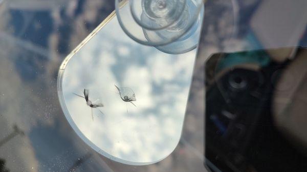 Windshield Resin Solutions