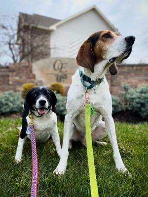 Comfort Zone Sitters