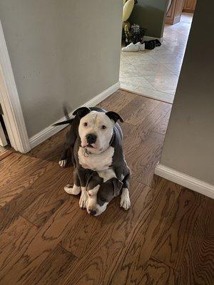 Donald McCline - Keller Williams