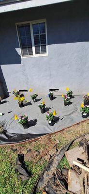 BC Landscaping Service