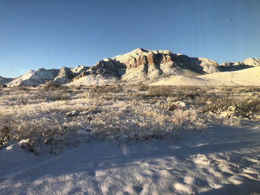 Copper Horse Vineyard