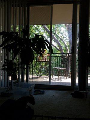 Four Lakes Development