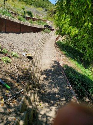 Olive Green Services