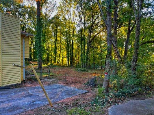 Luis Professional Tree Services