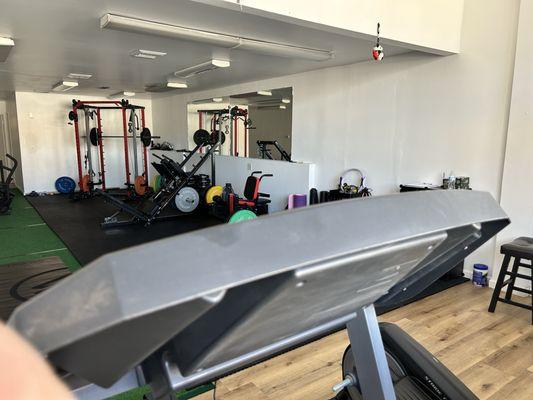 Treadmill, elliptical, Dumbbells, barbell, free weights, machines, sled, turf, workout equipment