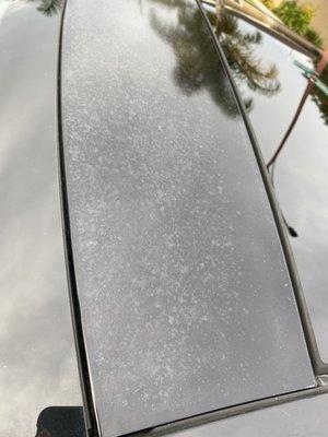 USA Touch Up Auto Body