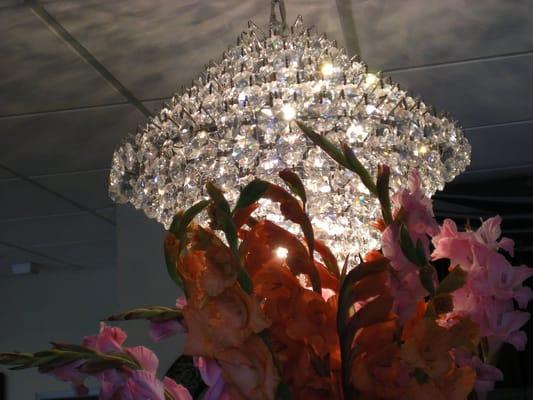 Jolie Clinical Skincare