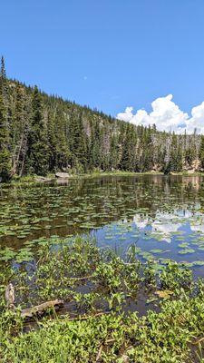 Instagram: @telephonesmoothie