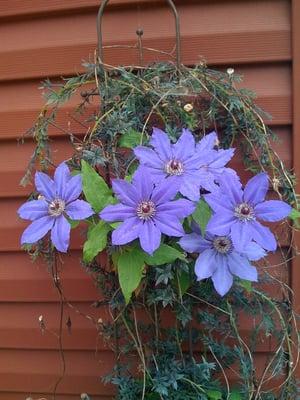 Eureka!! Massage Therapy