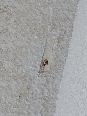 Finch Painting & Wallcoverings