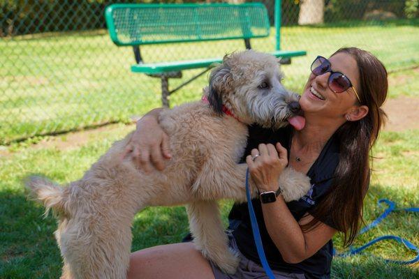 Withers Dog Training