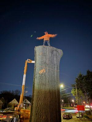 Rios Tree Removal & Lawn Service