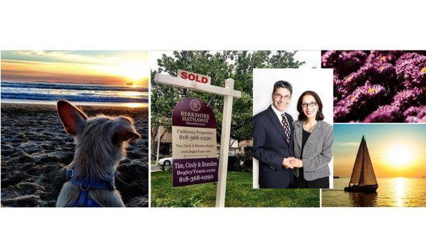 San Diego Real Estate expert for over 15 years.