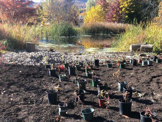 Jessecology Organic Garden Design