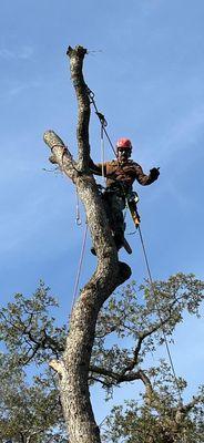 Dulai Landscaping And Trees