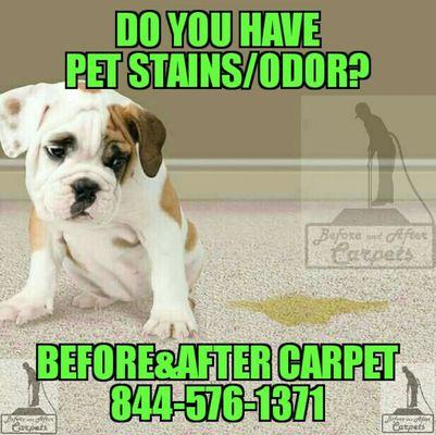 Before & After Carpet Upholstery