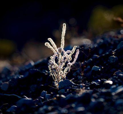 Death Valley National Park