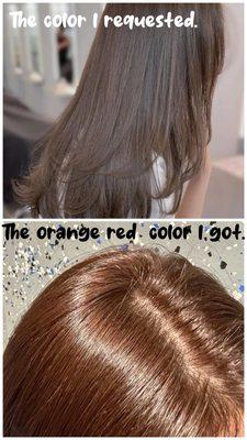 Bonté Hair & Beauty