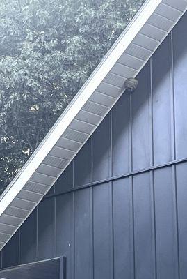 Pestmaster of Hudson Valley