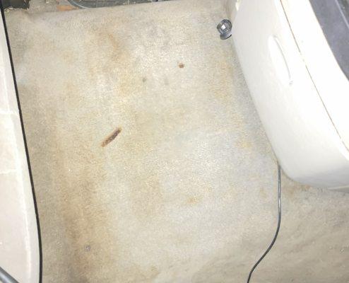 Davis Express Mobile Car Wash And Detailing